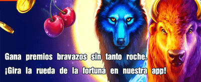 Tu suerte comienza en play365